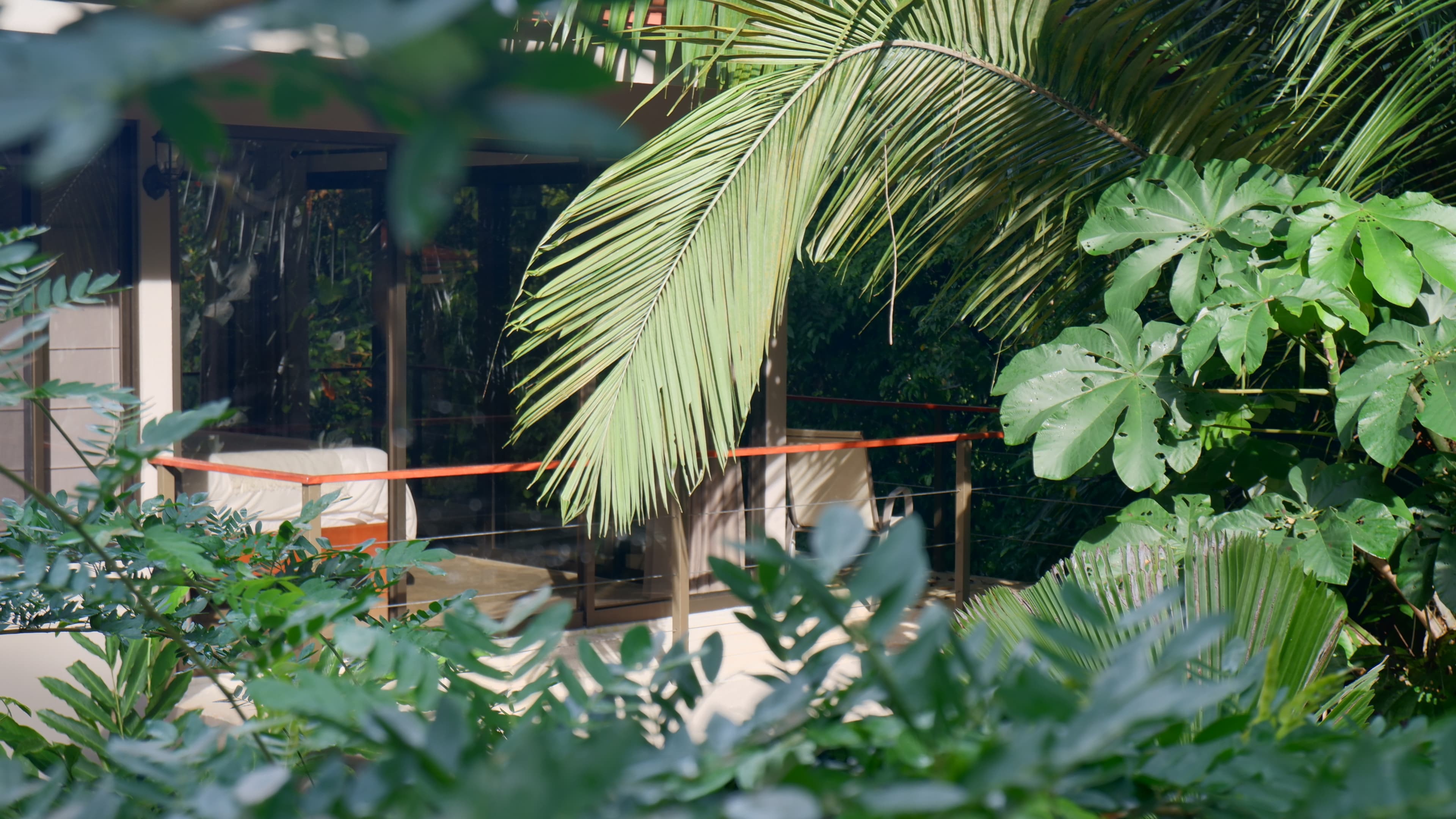 the villa hidden behind palm fronds in dominical